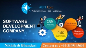 Software Development Company in Indore 